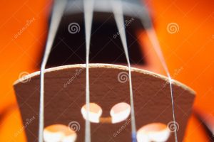 violin-strings-25474407