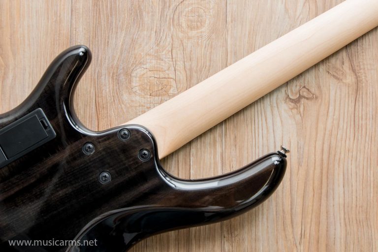 Cort Action DLX neck ขายราคาพิเศษ