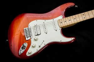 Fender Standard Stratocaster Plus Top body
