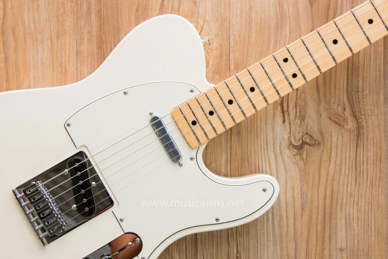 Fender Standard Telecaster neck ขายราคาพิเศษ