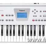 Roland BK-3 Keyboard ขายราคาพิเศษ