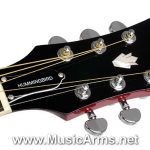 Head Epiphone Hummingbird Pro Heritage Cherry Burst Acoustic Guitar -ราคา ขายราคาพิเศษ