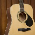 Greg Bennett GD-101S ขายราคาพิเศษ