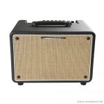 Face cover IBANEZ-T150S ลดราคาพิเศษ