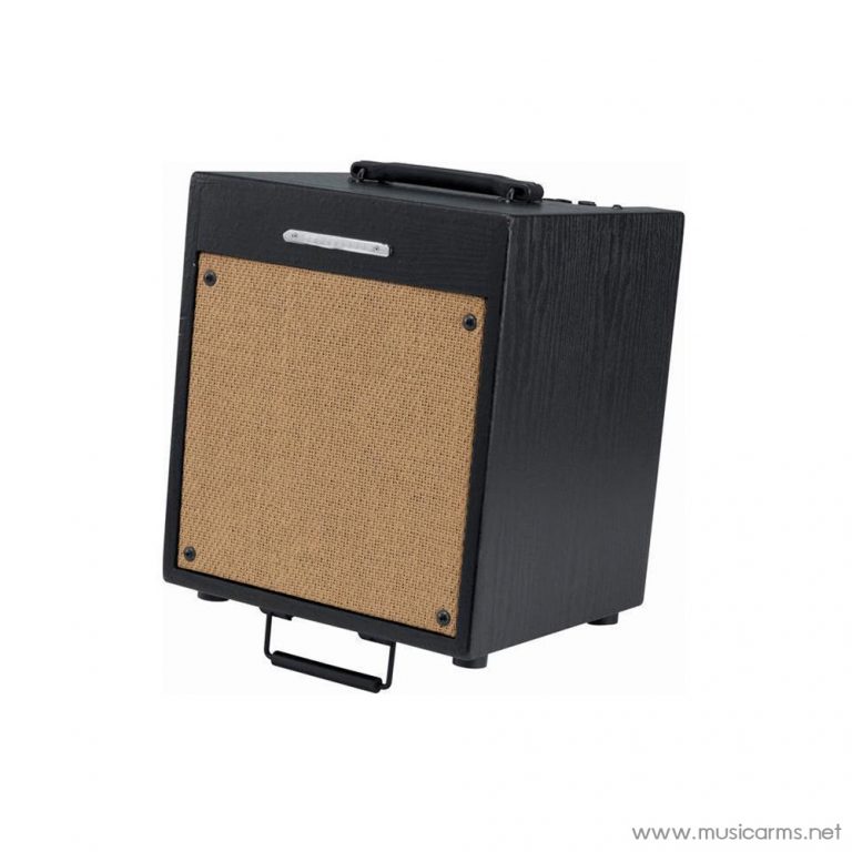 Face cover IBANEZ-T35 ขายราคาพิเศษ