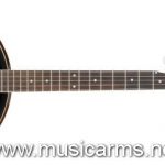 IBANEZ B50 ลดราคาพิเศษ