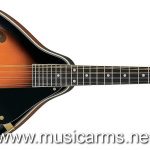 IBANEZ M511 ลดราคาพิเศษ