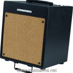 IBANEZ T35 ขายราคาพิเศษ