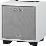 Roland – CM-110 CUBE Monitor ขายราคาพิเศษ