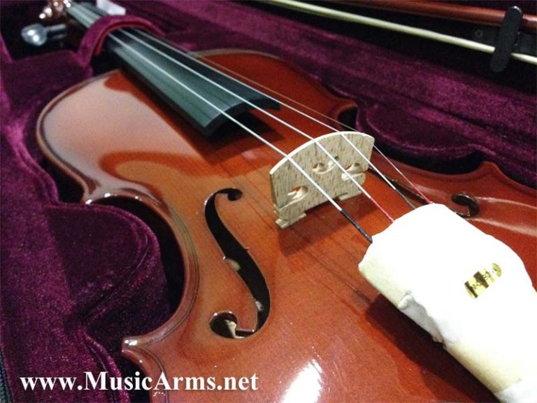 hofner violin ราคา ขายราคาพิเศษ