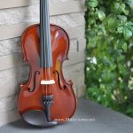 hofner violin ขายราคาพิเศษ
