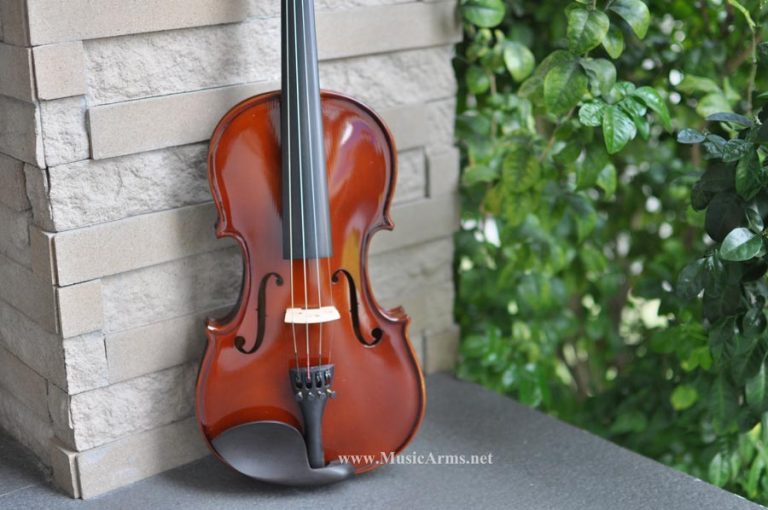 hofner violin ขายราคาพิเศษ