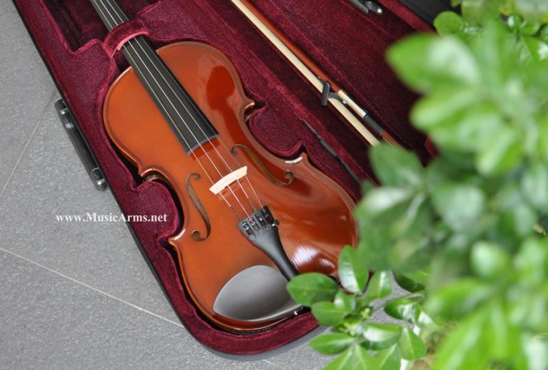 violin hofner ขายราคาพิเศษ