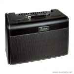 Kustom-RMS-Wattage-100-watts ลดราคาพิเศษ