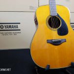 YAMAHA-fg180 50th ขายราคาพิเศษ