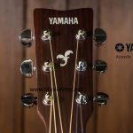 yamaha-fg800-head ขายราคาพิเศษ