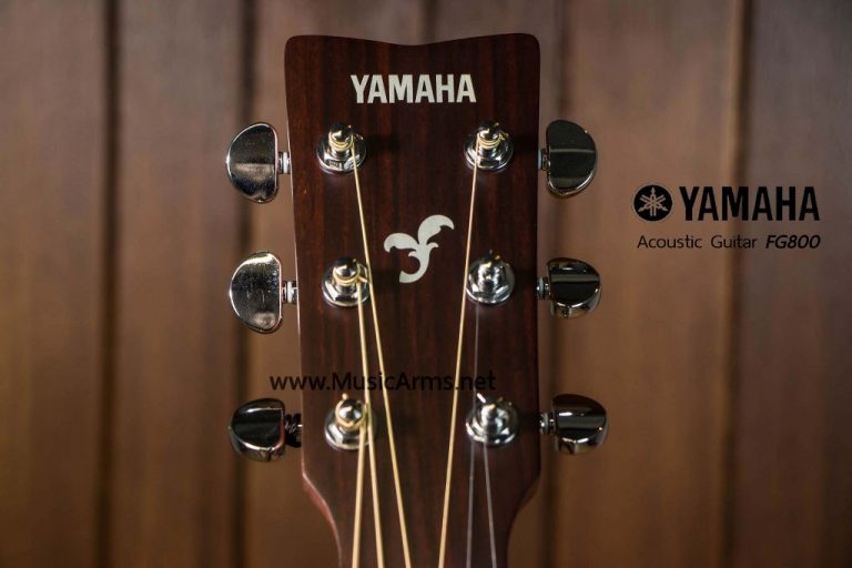 yamaha-fg800-head ขายราคาพิเศษ