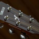 Yamaha FSX820C ด้าม ขายราคาพิเศษ