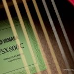 Yamaha FSX800C ขายราคาพิเศษ
