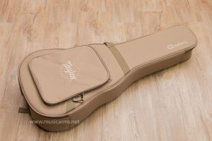 Taylor GS Mini Mahogany bag