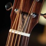 Veelah TO GO S กีตาร์โปร่ง ขายราคาพิเศษ