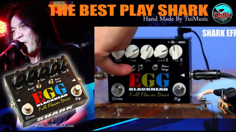 shark-egg-blackhead-02 ขายราคาพิเศษ