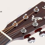 Saga D200C-RW headstock ขายราคาพิเศษ