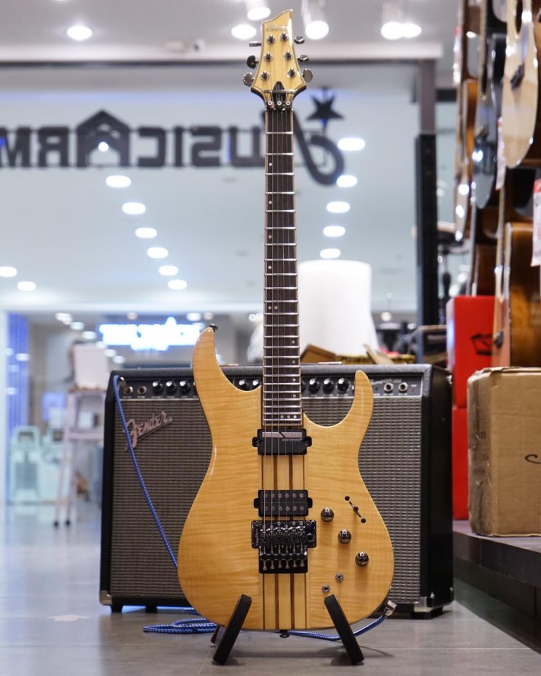 ไฟฟ้า Schecter Banshee Elite-6 FR S