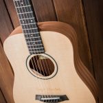 Taylors_singto_solid ขายราคาพิเศษ