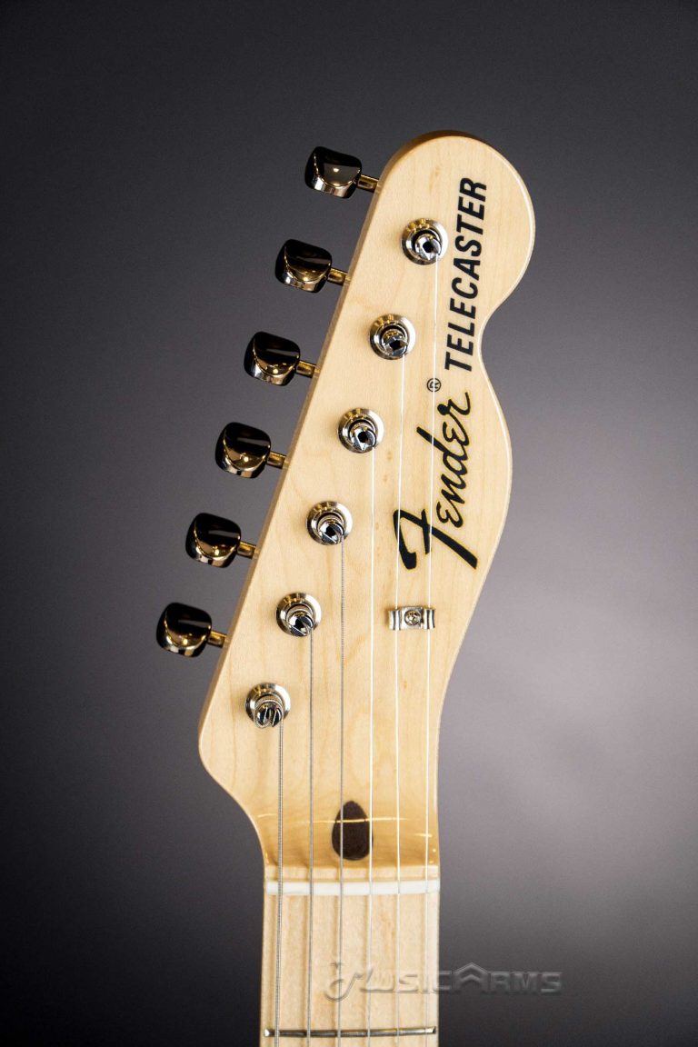 Fender-classic-69-Telecaster-close-up-5 ขายราคาพิเศษ