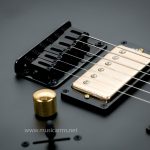 Ibanez GFR20GSP ขายราคาพิเศษ