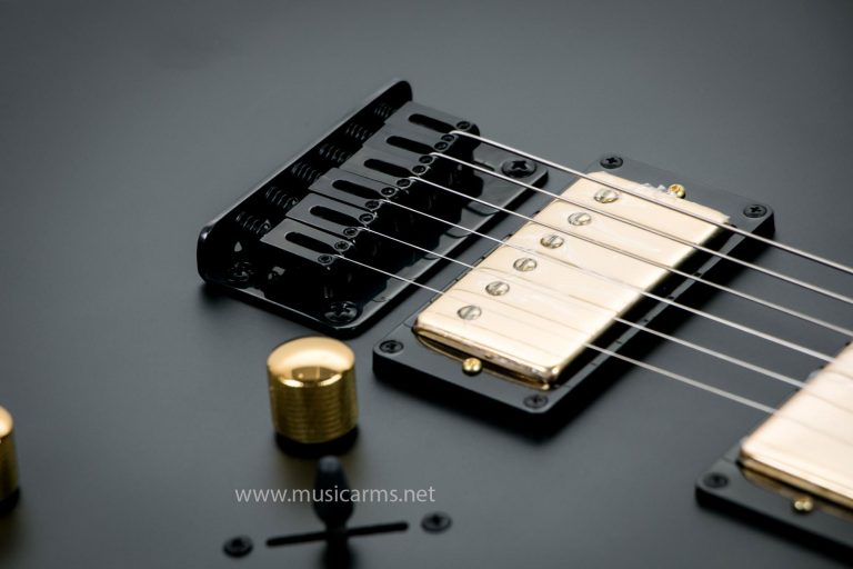 Ibanez GFR20GSP ขายราคาพิเศษ