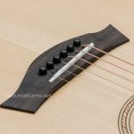 Taylor Academy Series Academy 12e ขายราคาพิเศษ