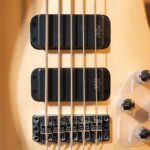Warwick Rockbass Streamer Standard Bass 5 Strings เบสไฟฟ้า ขายราคาพิเศษ