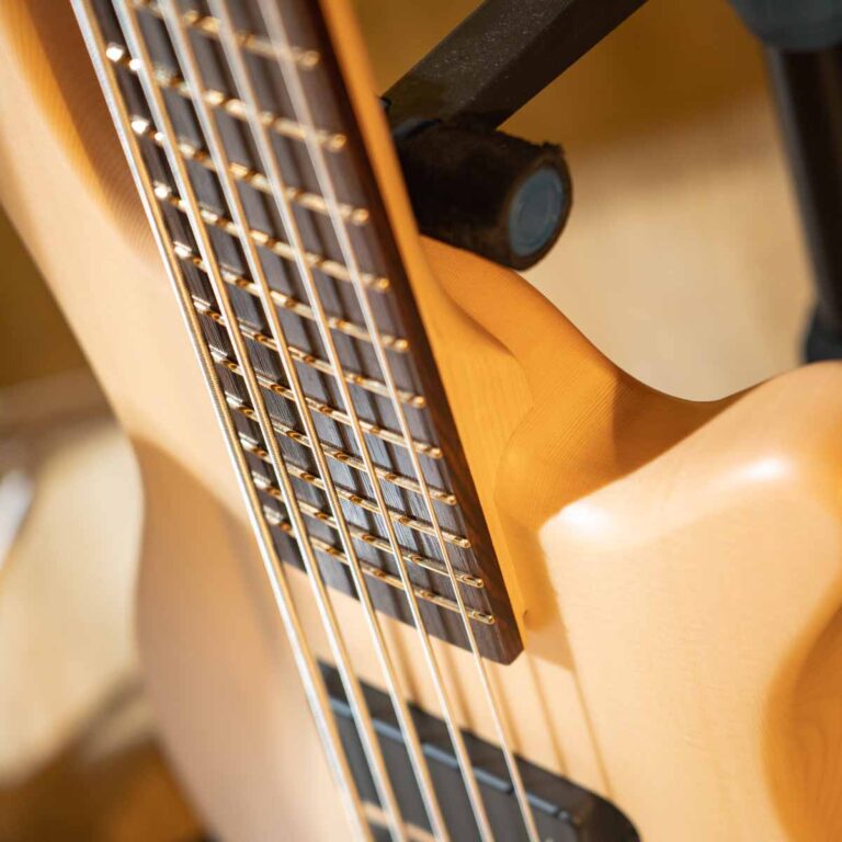 Warwick Rockbass Streamer Standard Bass 5 Strings เบสไฟฟ้า ขายราคาพิเศษ