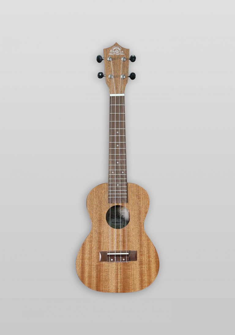 Pukanala Ukulele Beginners Series ขายราคาพิเศษ