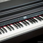 Artesia DP3 Plus Digital Piano ขายราคาพิเศษ
