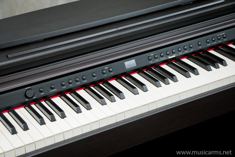 Artesia DP3 Plus Digital Piano ขายราคาพิเศษ