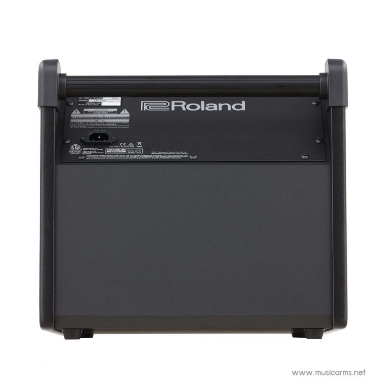 Roland-PM-100.jpg-11 ขายราคาพิเศษ