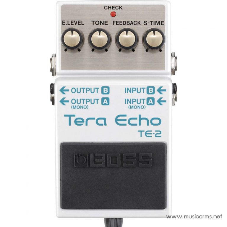 TE-2 Tera Echo ขายราคาพิเศษ