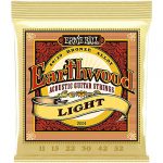 Ernie Ball 2004 Earthwood Light สายกีตาร์โปร่ง ลดราคาพิเศษ