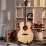 VEELAH V1-OME ลดราคาพิเศษ