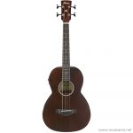 Face cover Ibanez AVNB1E ลดราคาพิเศษ