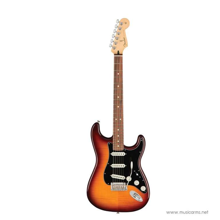 Fender Player Stratocaster Plus Top กีตาร์ไฟฟ้า สี Tobacco Sunburst