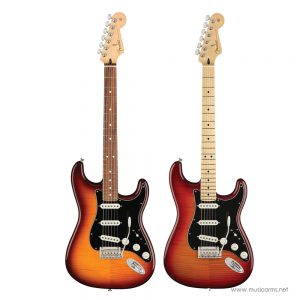 Fender Player Stratocaster Plus Top กีตาร์ไฟฟ้าราคาถูกสุด