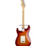 Fender Player Stratocaster Plus Topหลัง ขายราคาพิเศษ
