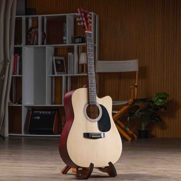 Preme G419 กีตาร์โปร่ง ไม้ ขายราคาพิเศษ