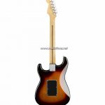 Fender Player Stratocaster Floyd Rose HSSหลังซัน ขายราคาพิเศษ