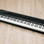 Korg B2 Digital Piano ขายราคาพิเศษ