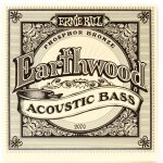 Ernie Ball Earthwood 80/20 Acoustic Bass P02070 ลดราคาพิเศษ